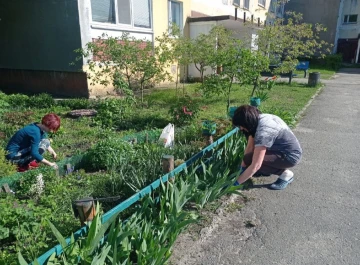 Славутичани створюють красу на своїх подвір’ях