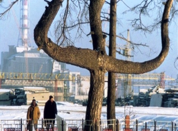 В Чернобыльской зоне нашли знаменитую «Сосну смерти»