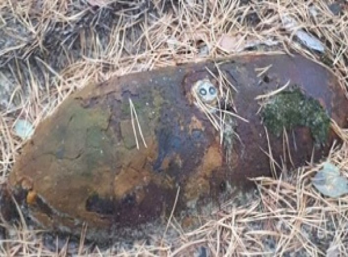 В Чернобыльской зоне была обнаружена бомба