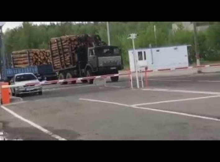 В сети обнародовано видео вывоза леса-кругляка из Чернобыльской зоны через КПП Дитятки.