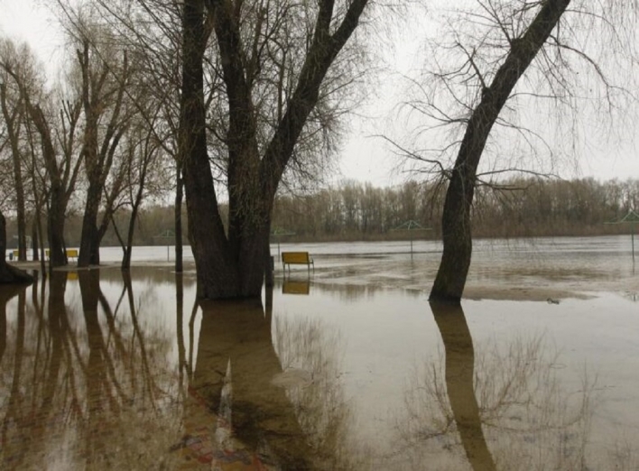 Через повінь на Чернігівщині затоплені будинки і дороги фото