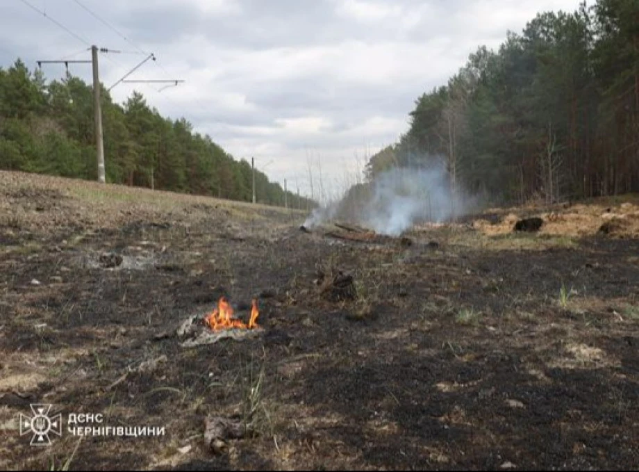 Пожежа на три гектари: Жінка з Малійок отримала штраф у розмірі 15 тисяч за спалення трави