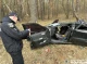 На Чернігівщині загинуло двоє людей через падіння дерева на автомобіль