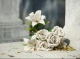 Які квіти краще посадити на цвинтарі: правила вибору