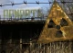 У Чорнобильській Зоні знайшли істот - жителів, які вижили та не постраждали після ядерної катастрофи