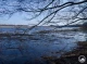 Весняна вода в Чорнобильському радіаційно-екологічному біосферному заповіднику